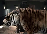 Walking Dead 7x09 008.jpg (56 KB)