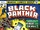 Black Panther 11