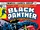 Black Panther 4