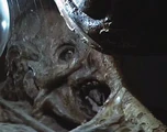 Space Jockey 004.jpg (15 KB)