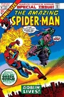 Amazing Spider-Man Annual 9.jpg (1.01 MB)