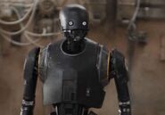 K-2SO 003