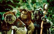 Ewoks