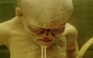 Ripley 1.jpg (32 KB)