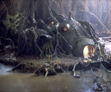 Yoda's hut