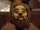 Roger the Dog Man