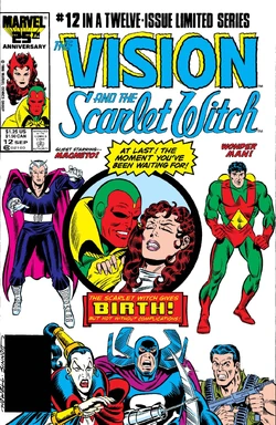 Vision and the Scarlet Witch Vol 2 12