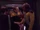 Star Trek: Deep Space Nine: The Way of the Warrior