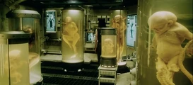 Ripley 1-7.jpg (64 KB)