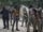 Walking Dead: The World Before