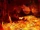 Hell