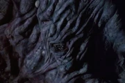 Tree .