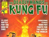 Deadly Hands of Kung Fu 24