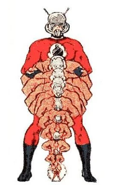 Size alteration