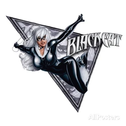 Black Cat