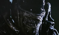 Xenomorph 004.jpg (64 KB)