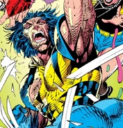 Wolvie - XM2 4 002.jpg (360 KB)