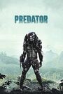 Predator 001