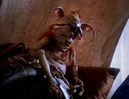 Salacious B. Crumb