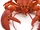 Lobsters