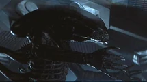 Xenomorph 003.jpg (16 KB)
