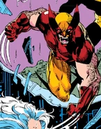 Wolverine 003.jpg (268 KB)