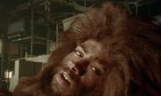 Giant Yeti 007