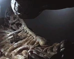 Space Jockey 003.jpg (17 KB)