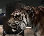 Walking Dead 7x09 007.jpg (47 KB)