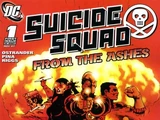 Suicide Squad: Raise the Flag Vol 1