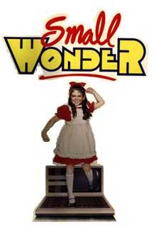 small wonder dvd box set