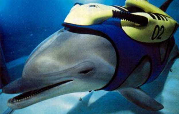 クリスチャン・リース・ラッセン Dolphin Quest Ⅱ 1997年 美術