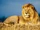 Lions