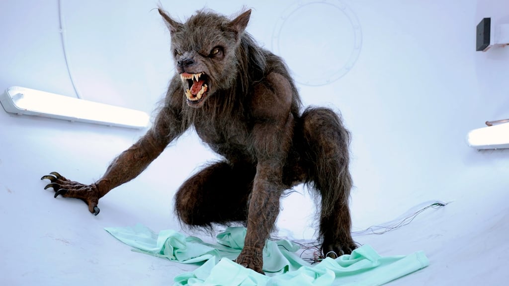 An American Werewolf in Paris - Wikipedia