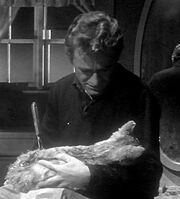  accidentally kills his landlord's cat.