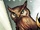 Owls