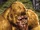 Congorilla 001.jpg
