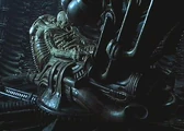 Space Jockey 001.jpg (24 KB)