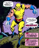 1st Wolverine.jpg (119 KB)