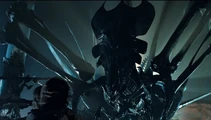 Xenomorph queen.jpg (46 KB)
