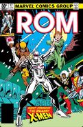 ROM 17