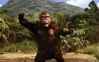 Kingukongu 002