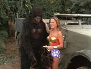 Wonder Woman 1x06 011