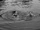 Twilight Zone: The Bewitchin' Pool