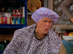 3rd Rock 1x03 003