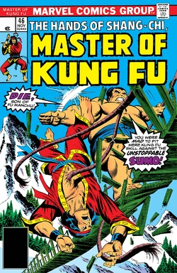 Master of Kung Fu 46