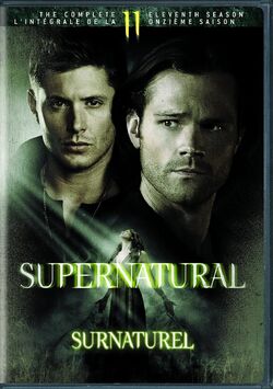 Supernatural: The Complete Thirteenth Season | Headhunter's Horror House  Wiki | Fandom