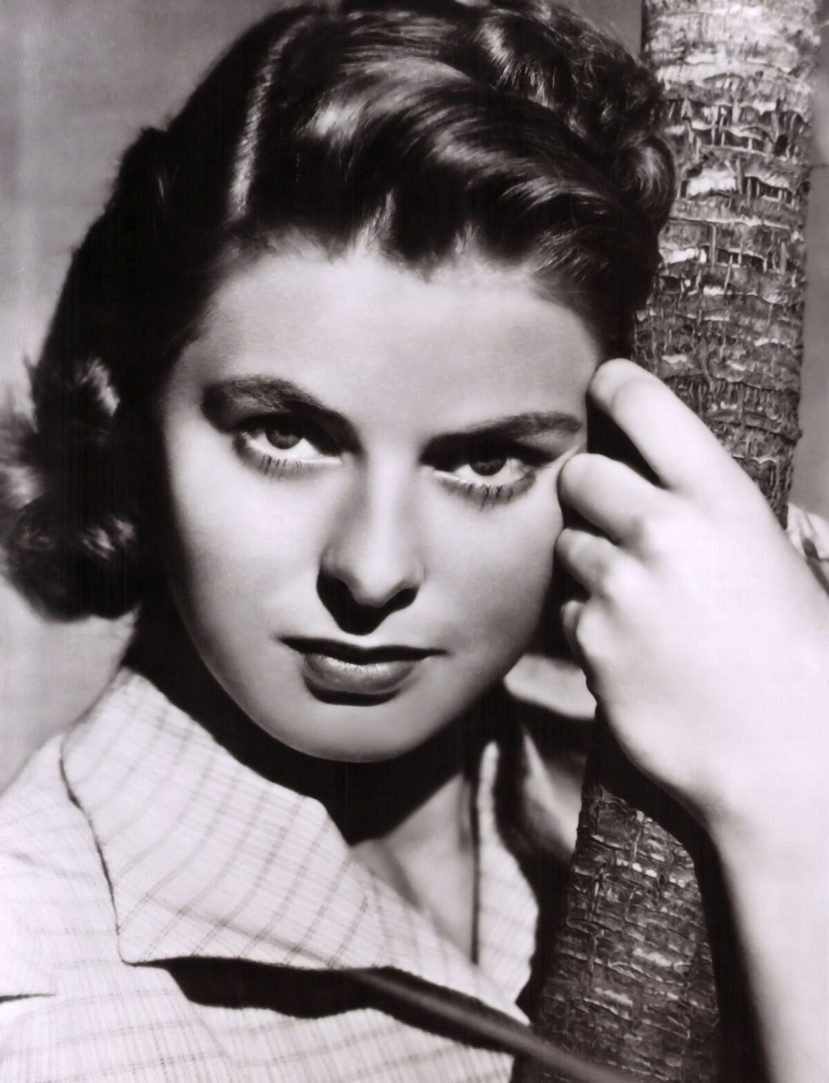 INGRID BERGMAN 写真集 ノーベル書房 NYC54402.jpg?v=1722954188&