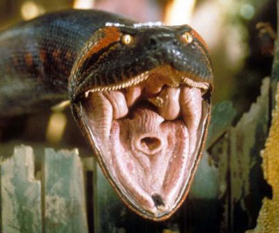 anaconda 1997