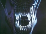 Aliens: Book Two